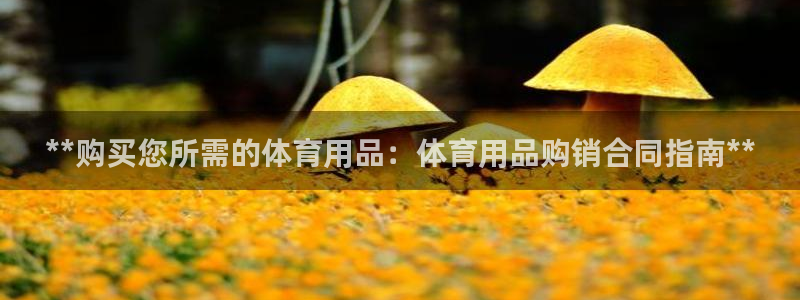 欧陆论坛：**购买您所需的体育用品：体育用品购销合同