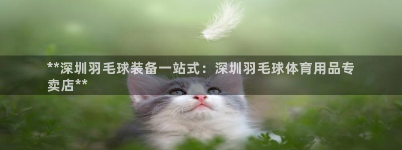 欧陆娱乐怎么注册会员号：**深圳羽毛球装备一站式：深