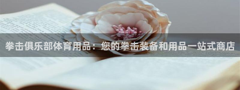 欧陆娱乐打什么方案：拳击俱乐部体育用品：您的拳击装备