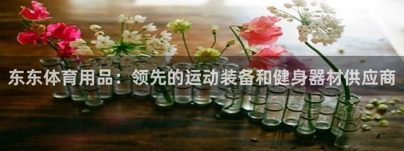 欧陆娱乐平台咋样赚钱的：东东体育用品：领先的运动装备