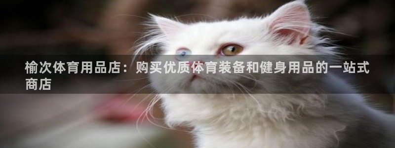 欧陆娱乐怎么注册账号：榆次体育用品店：购买优质体育装