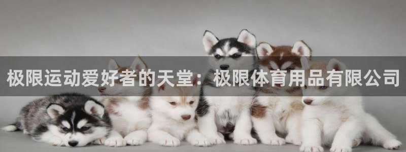 欧陆娱乐游戏：极限运动爱好者的天堂：极限体育用品有限