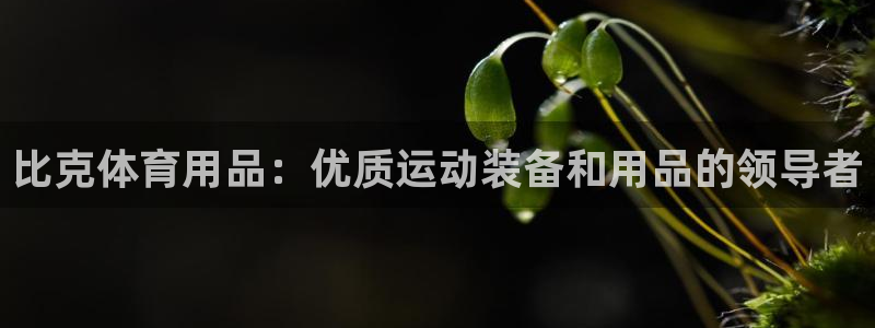 欧陆娱乐总代理是谁：比克体育用品：优质运动装备和用品的领导者