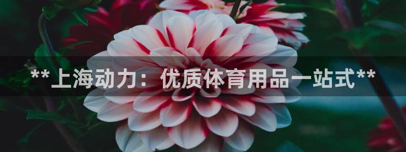欧陆娱乐讲7O777：**上海动力：优质体育用品一站