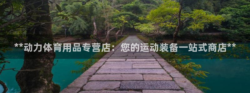 欧陆娱乐公司产品介绍怎么写：**动力体育用品专营店：