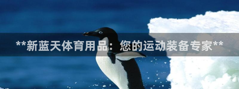 欧陆游戏平台：**新蓝天体育用品：您的运动装备专家*