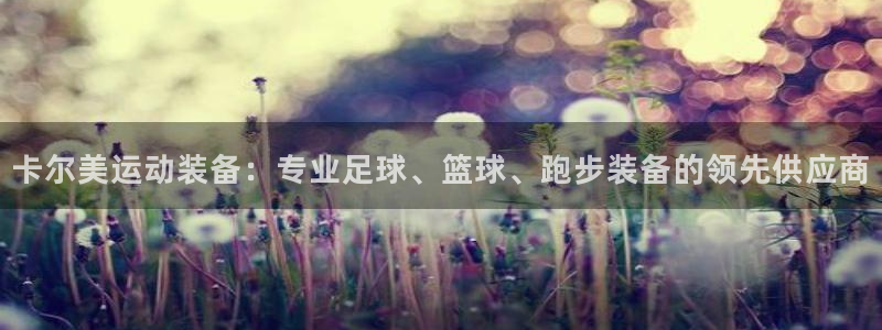 欧陆娱乐平台毕 (q—43314) 旨：卡尔美运动装