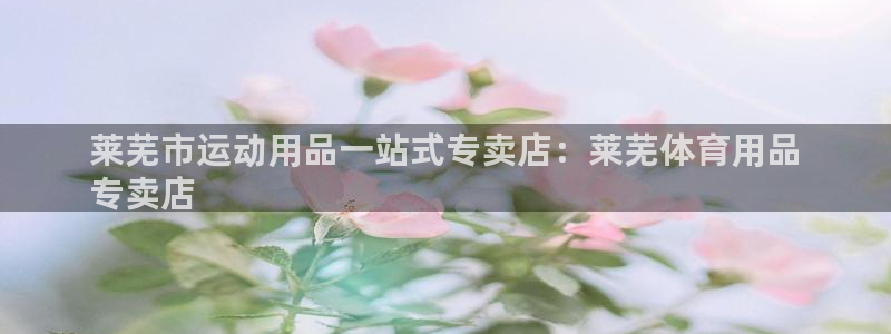 欧陆娱乐官网下载安装最新版本：莱芜市运动用品一站式专