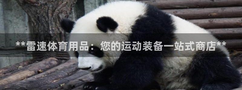 欧陆官网下载：**雷速体育用品：您的运动装备一站式商