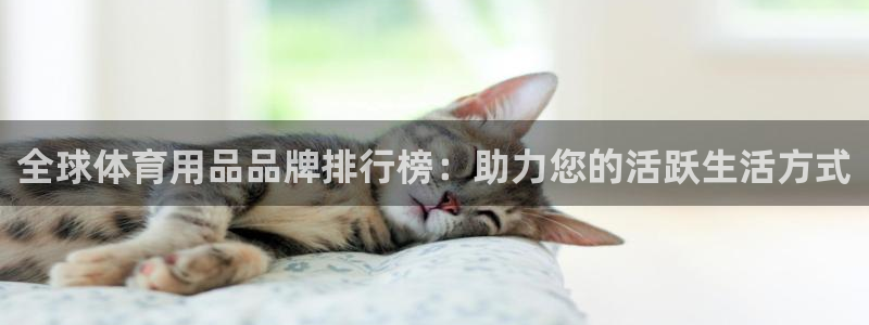 欧陆娱乐合法吗：全球体育用品品牌排行榜：助力您的活跃