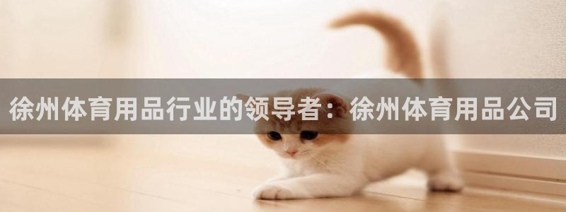 欧陆娱乐测试官网：徐州体育用品行业的领导者：徐州体育