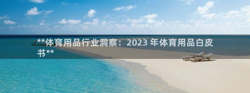 欧陆娱乐官方下载安装：**体育用品行业洞察：2023