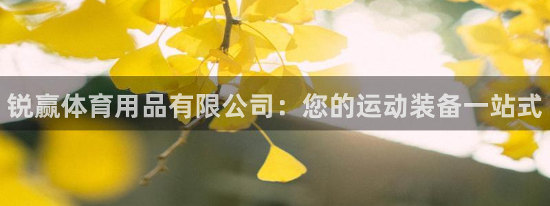 欧陆娱乐微信：锐赢体育用品有限公司：您的运动装备一站式