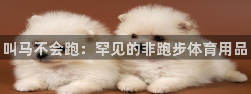 欧陆娱乐官网首页入口：叫马不会跑：罕见的非跑步体育用