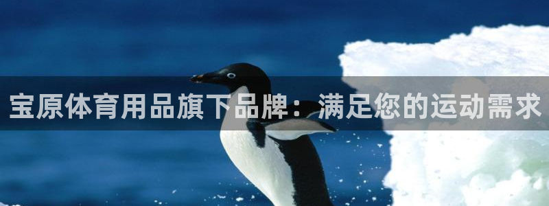欧陆娱乐登录测速怎么关闭：宝原体育用品旗下品牌：满足