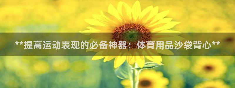 欧陆娱乐脚本：**提高运动表现的必备神器：体育用品沙