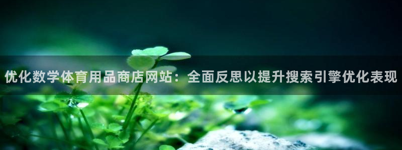欧陆娱乐可以退钱吗安全吗：优化数学体育用品商店网站：