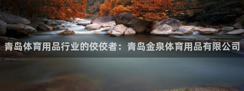 欧陆娱乐平台登陆地址是什么样的：青岛体育用品行业的佼