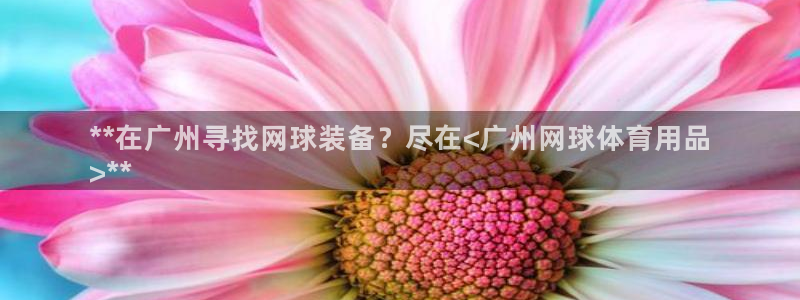欧陆软件官网：**在广州寻找网球装备？尽在<广州网球