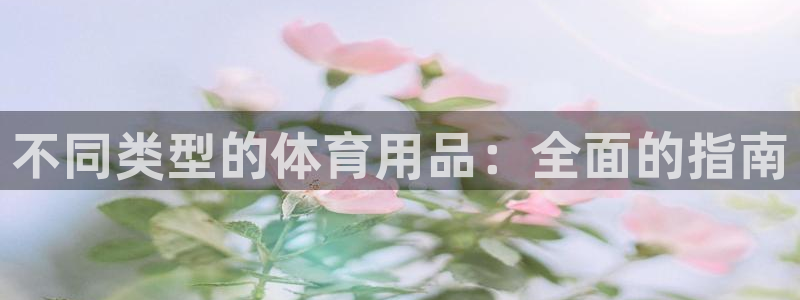 欧陆娱乐测试官网：不同类型的体育用品：全面的指南