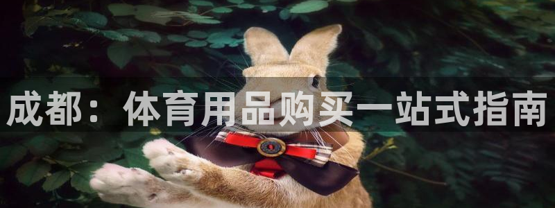 欧陆娱乐官网入口网址：成都：体育用品购买一站式指南