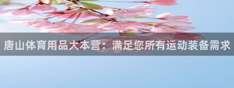 欧陆娱乐官网下载安装最新版苹果：唐山体育用品大本营：