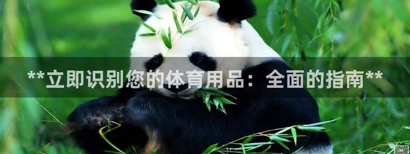 欧陆娱乐官网首页下载：**立即识别您的体育用品：全面