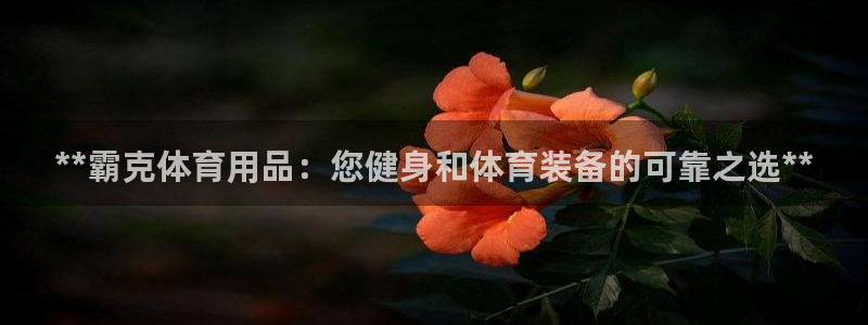 欧陆娱乐登录平台下载：**霸克体育用品：您健身和体育