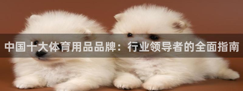 欧陆娱乐测试官网：中国十大体育用品品牌：行业领导者的