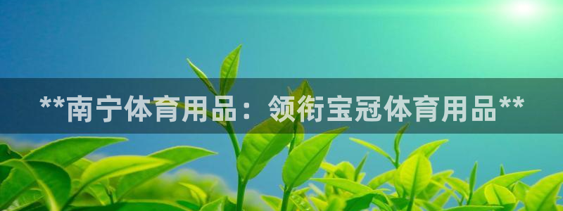 欧陆娱乐天富主管：**南宁体育用品：领衔宝冠体育用品