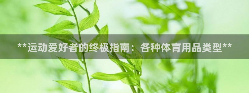 欧陆娱乐代理 贴吧：**运动爱好者的终极指南：各种体