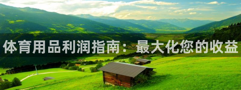 欧陆娱乐打什么方案赚钱：体育用品利润指南：最大化您的收益