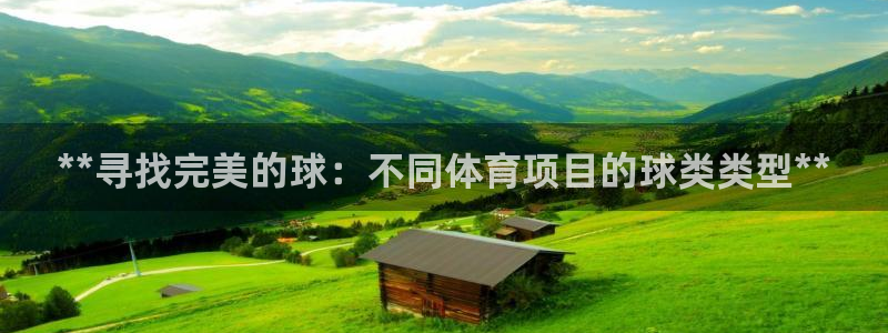 欧陆娱乐官网网址是多少：**寻找完美的球：不同体育项