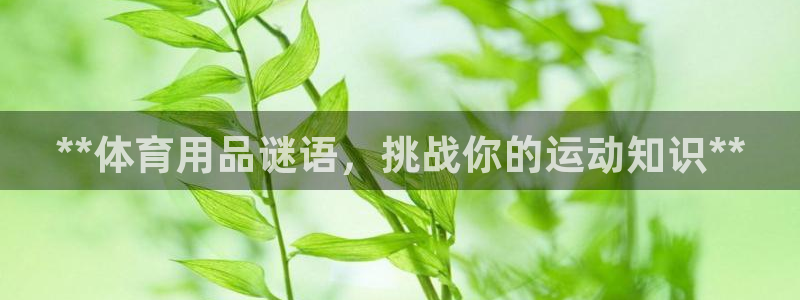 欧陆娱乐登录平台官网：**体育用品谜语，挑战你的运动