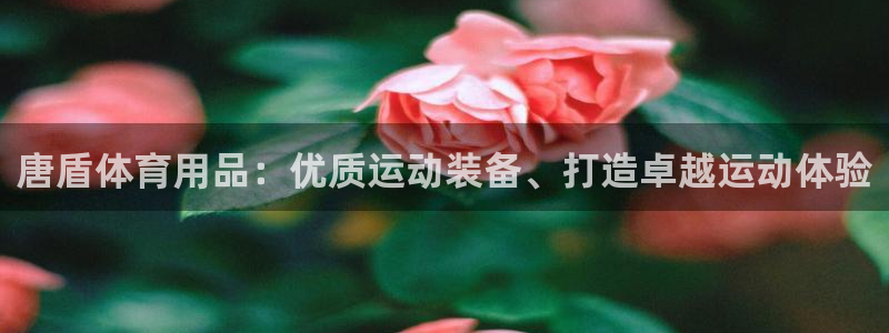 欧陆娱乐共创美好时刻：唐盾体育用品：优质运动装备、打造卓越运