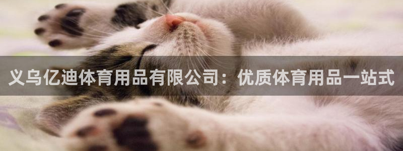 欧陆娱乐系统教程：义乌亿迪体育用品有限公司：优质体育用品一站