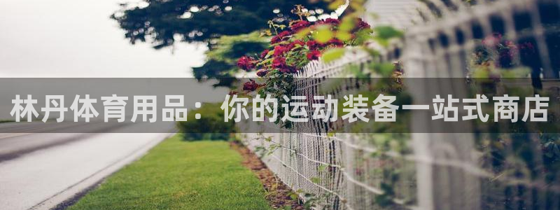 欧陆娱乐登陆平台：林丹体育用品：你的运动装备一站式商