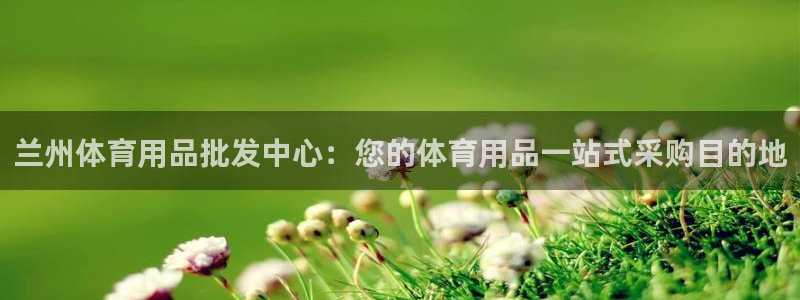 欧陆娱乐脚本：兰州体育用品批发中心：您的体育用品一站式采购目