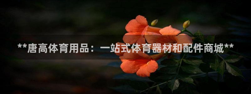 欧陆娱乐平台登录不上怎么回事：**唐高体育用品：一站