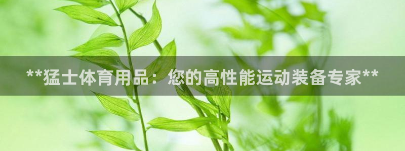 欧陆娱乐累计盈利多少就会被劝退呢：**猛士体育用品：