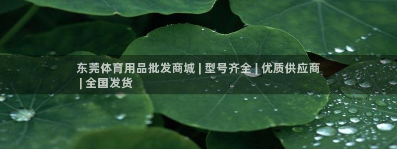 欧陆娱乐挂机项目怎么设置：东莞体育用品批发商城 | 型号齐全