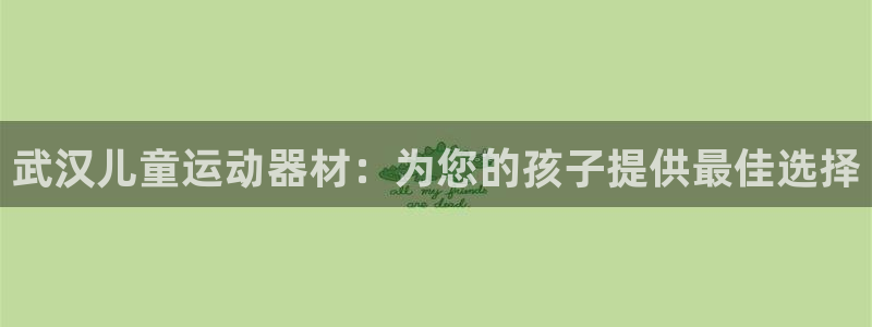欧陆娱乐登陆平台官网：武汉儿童运动器材：为您的孩子提