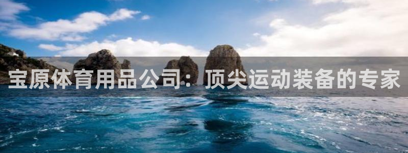 欧陆娱乐登录测速网站：宝原体育用品公司：顶尖运动装备