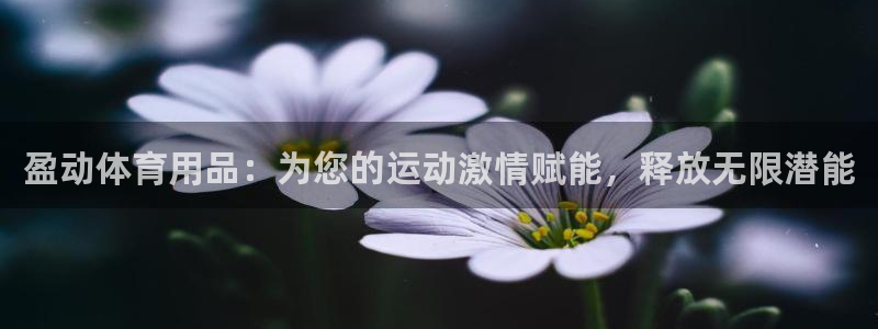 欧陆娱乐的故事有哪些：盈动体育用品：为您的运动激情赋
