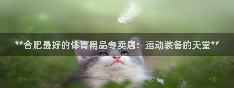欧陆娱乐出款了吗：**合肥最好的体育用品专卖店：运动