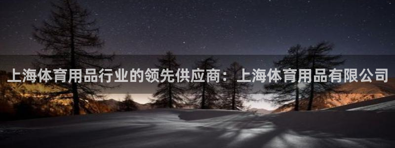 欧陆娱乐代理多少个点位：上海体育用品行业的领先供应商