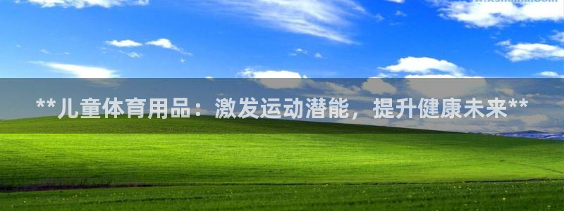 欧陆娱乐登录测速：**儿童体育用品：激发运动潜能，提