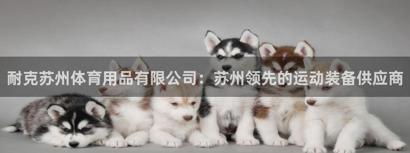 欧陆娱乐官方网站下载：耐克苏州体育用品有限公司：苏州