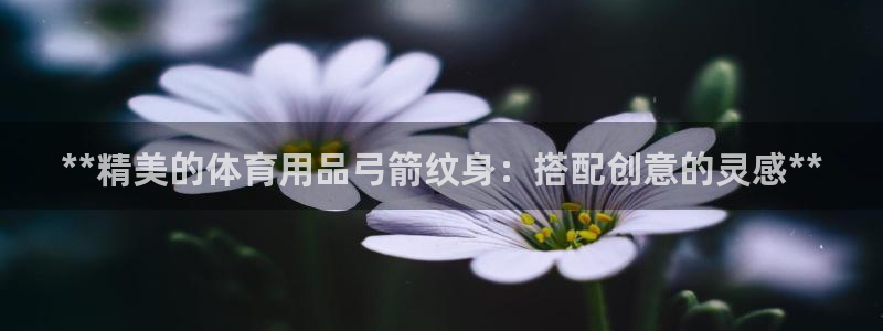 欧陆娱乐登陆平台有哪些：**精美的体育用品弓箭纹身：