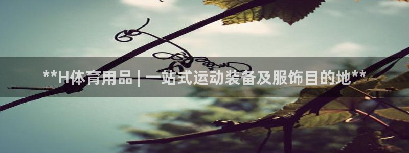 欧陆娱乐注册芯7o777ts=0：**H体育用品 |